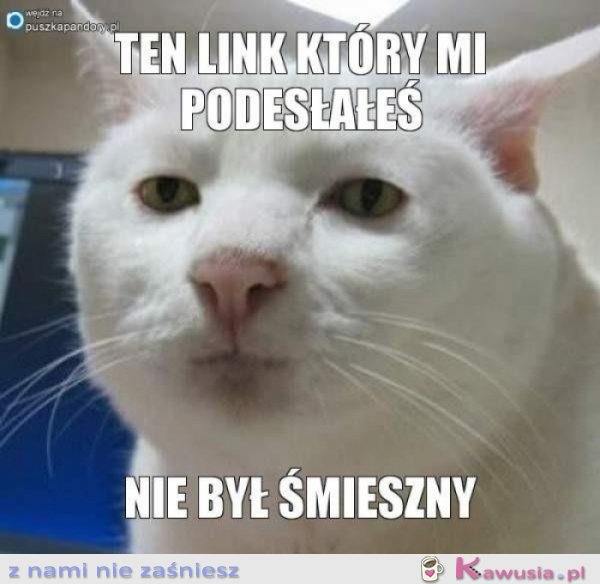 Ten link, który mi podesłałeś...