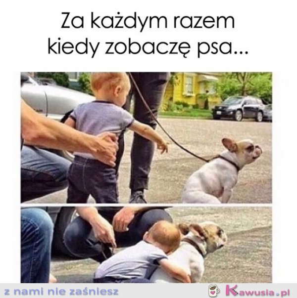 Za każdym razem kiedy zobaczę psa