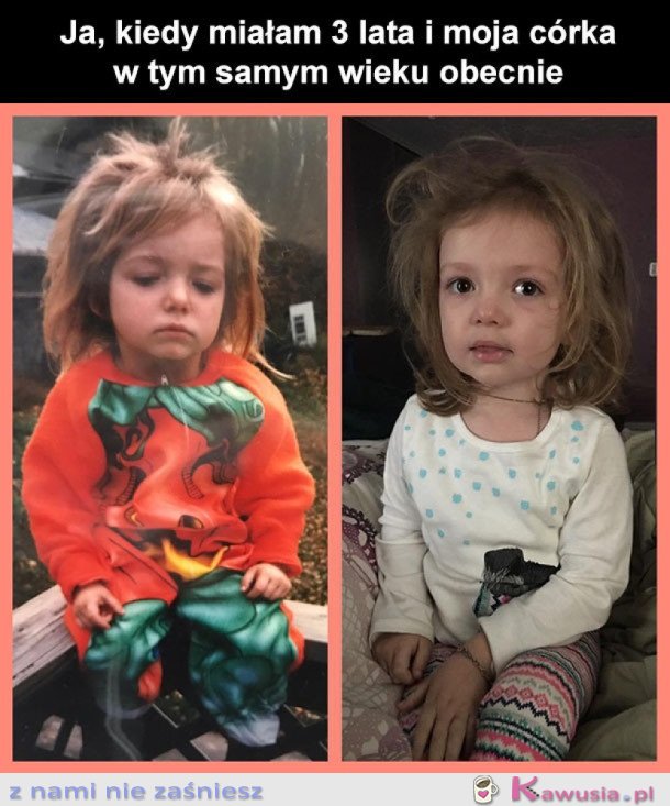 KOPIUJ WKLEJ