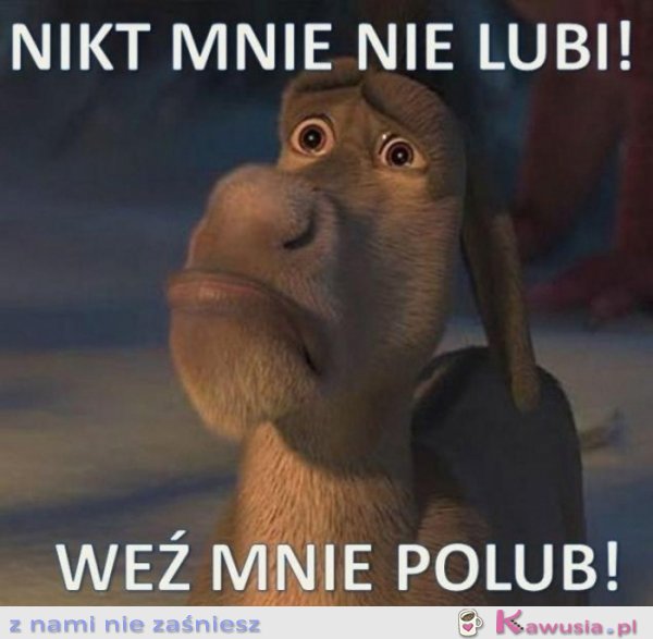 Nikt mnie nie lubi