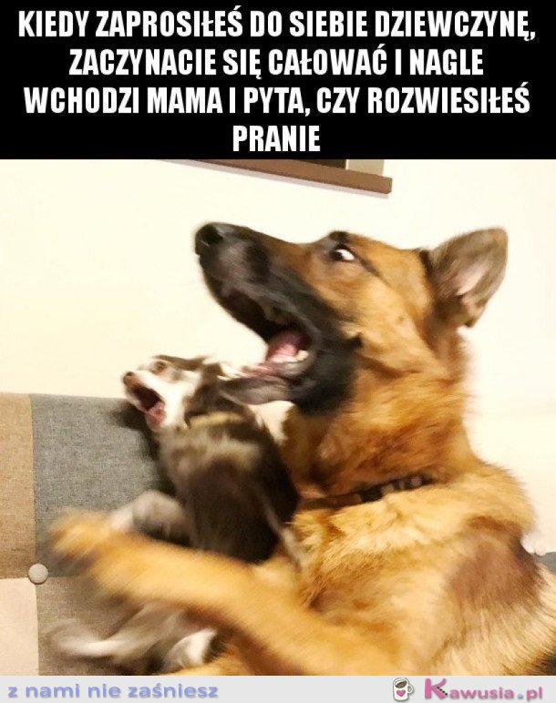 ROMANTYCZNIE