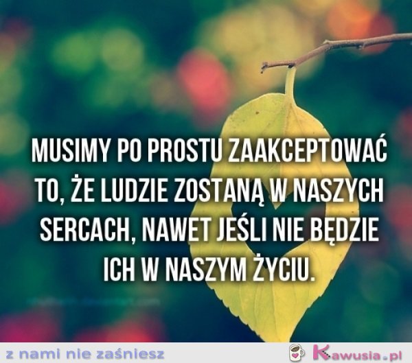 Musimy po prostu...