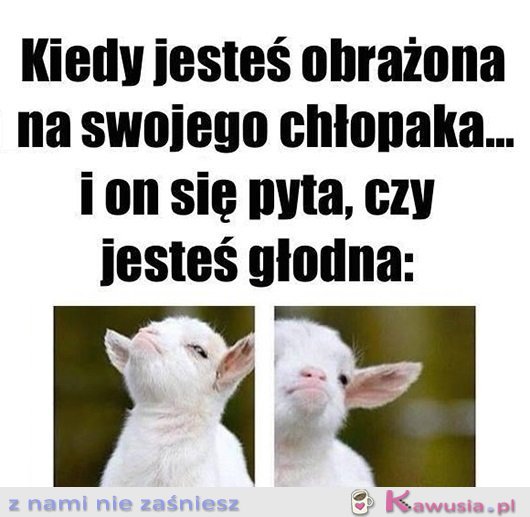 Dawaj to jedzenie!