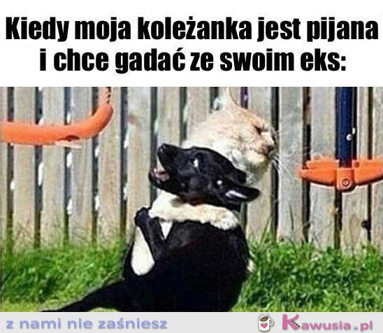 Ratuj się kto może...