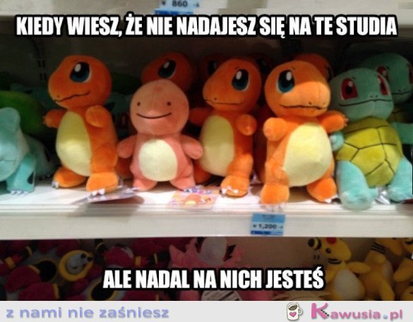 KIEDY WIESZ, ŻE NIE NADAJESZ SIĘ NA TE STUDIA