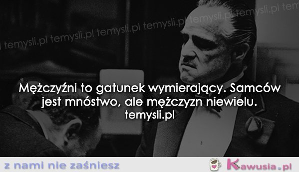 Mężczyźni to gatunek wymierający...