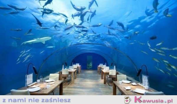 Niesamowita restauracja