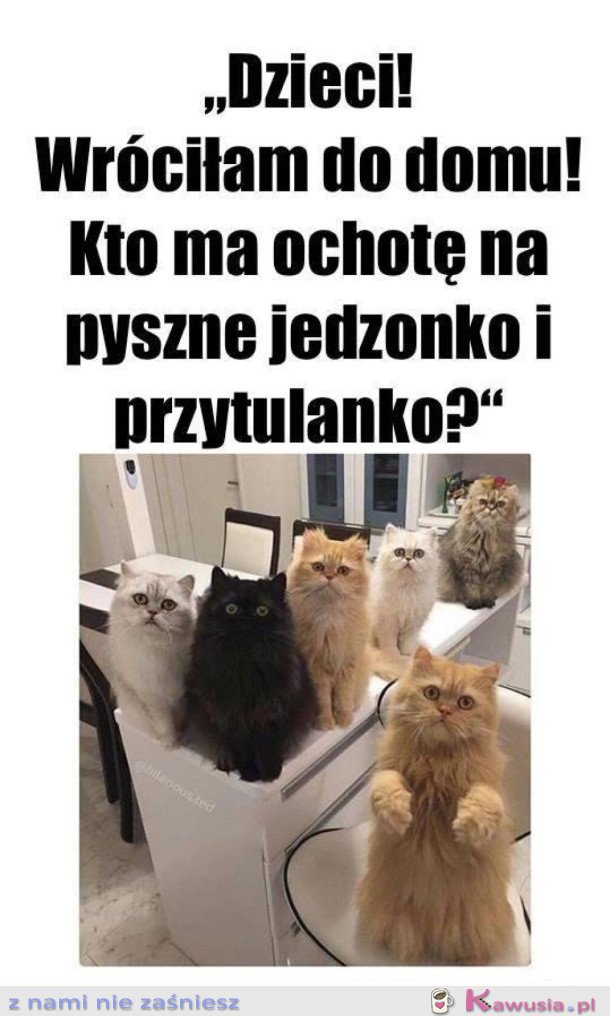 WIECZÓR SILNEJ I NIEZALEŻNEJ