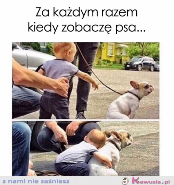 Za każdym razem kiedy zobaczę psa