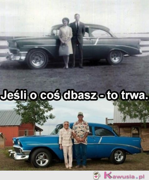 Dbaj o to co kochasz