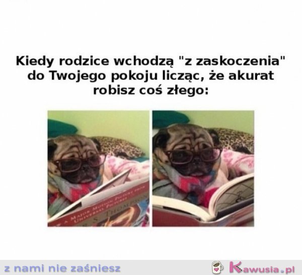 Ja przecież nie robię nic złego