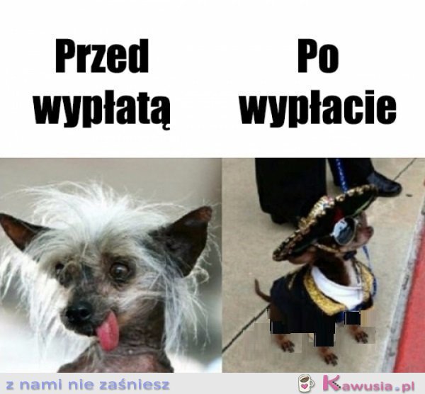 Samo życie...