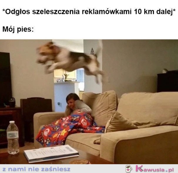 ZA KAŻDYM RAZEM
