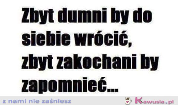 Zbyt dumni by...