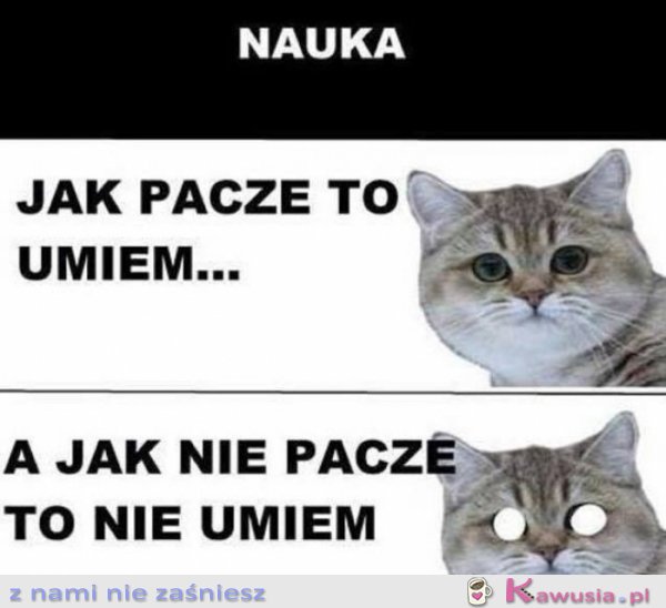 Nauka