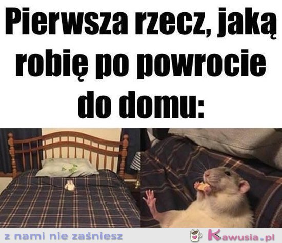 Priorytety