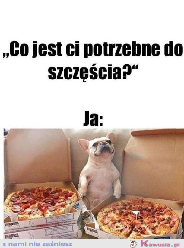 TAK WYGLĄDA SZCZĘŚCIE