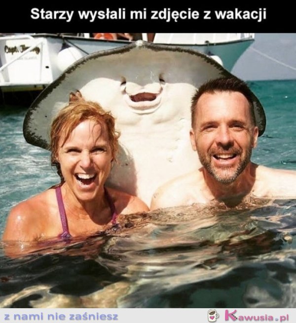 Rodzice wysłali mi zdjęcie z wakacji