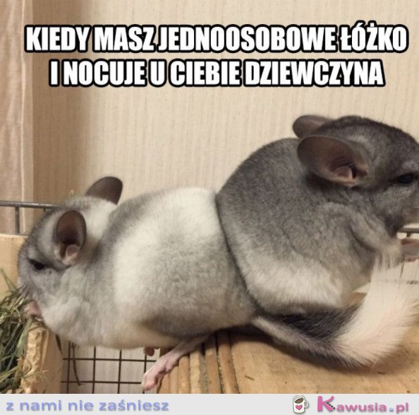 Kochanie jakoś się zmieścimy