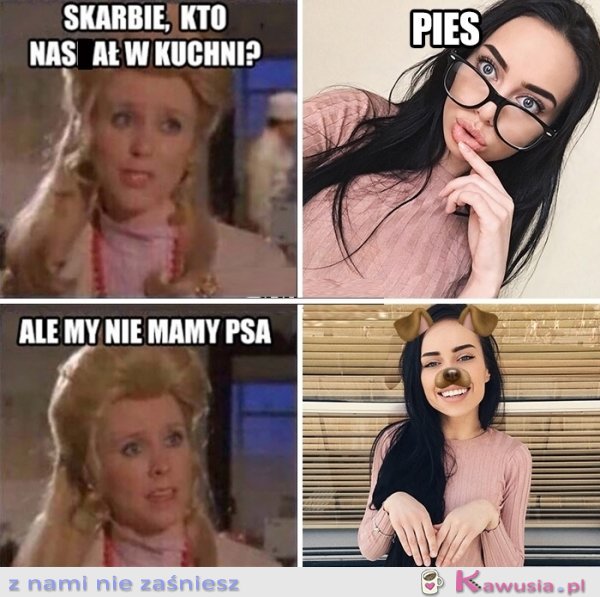 Pies 