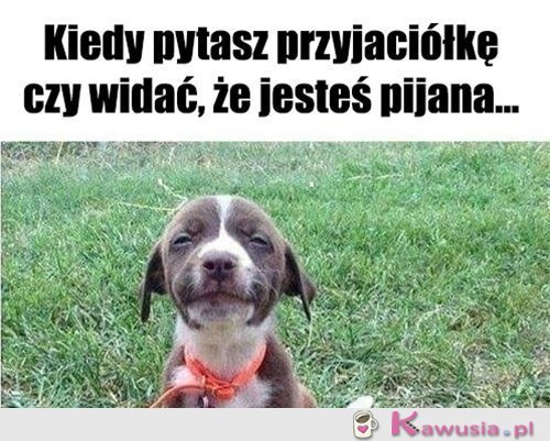 I jak?