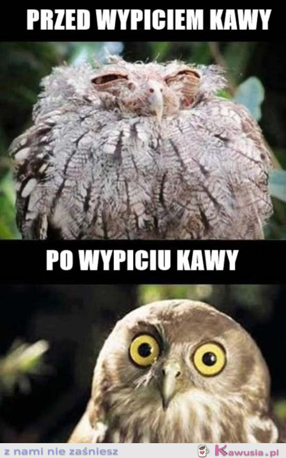 Przed i po wypiciu kawy