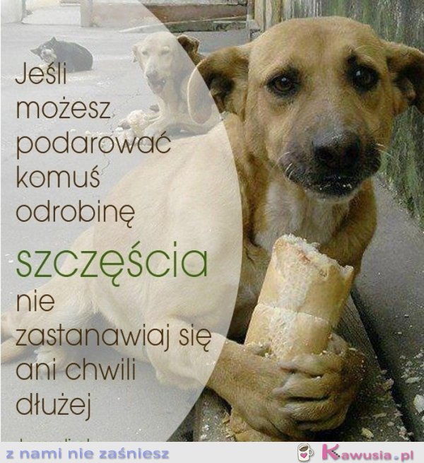 Jeśli możesz podarować komuś...