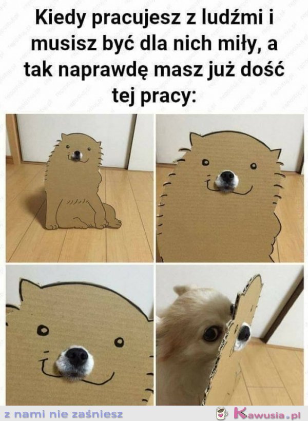 Kiedy pracujesz z ludźmi i musisz