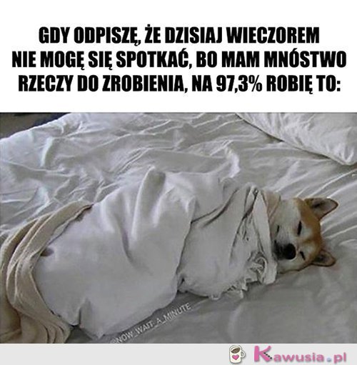 Nie wiem w co ręce włożyć...