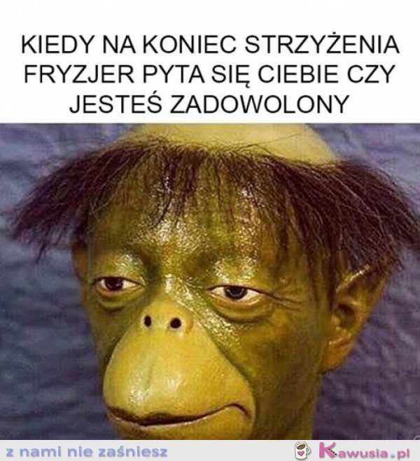 Czy jest pan zadowolony