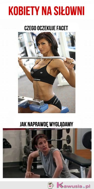 Kobiety na siłowni
