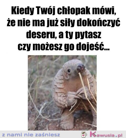 Przecież nie może się zmarnować.