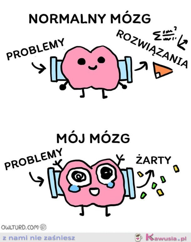 MÓJ MÓZG