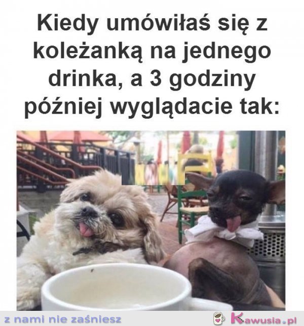 Kochana tylko jeden drink