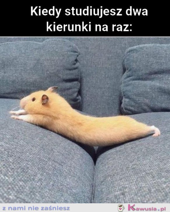 KIEDY STUDIUJESZ DWA KIERUNKI NARAZ