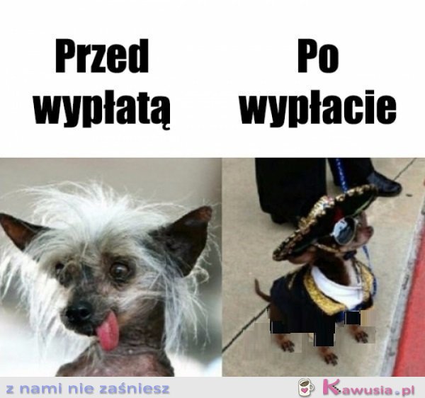 Samo życie...