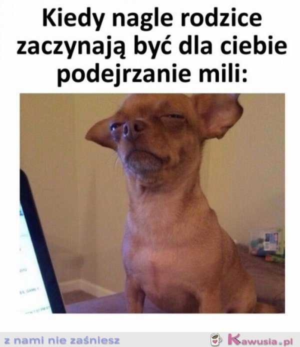 Co oni tacy mili