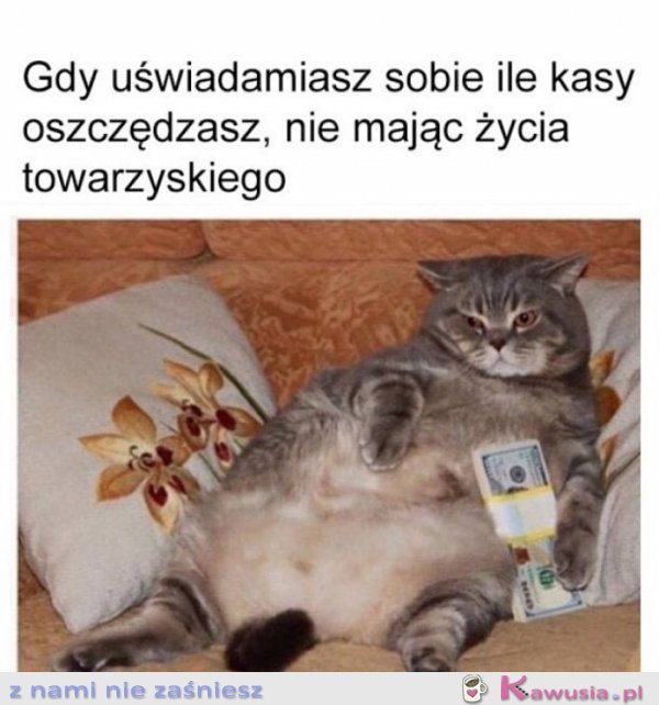Już nigdy nie wyjdę
