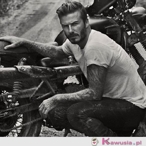 David Beckham