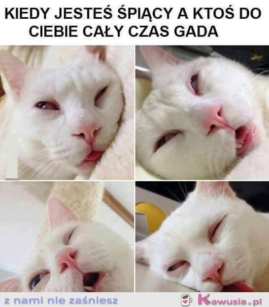 Jejku niech on już skończy