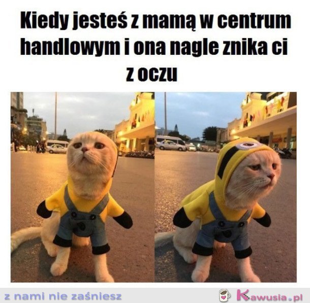 GDZIE SIĘ PODZIAŁA?