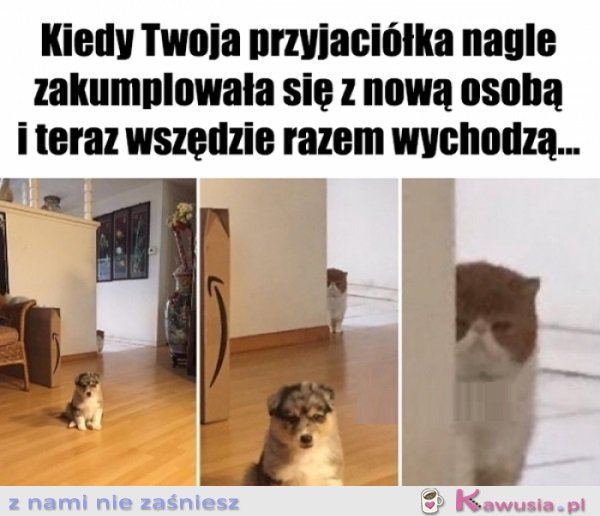 Jeszcze zobaczymy...