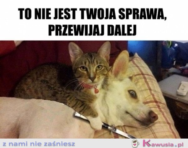 No dalej...