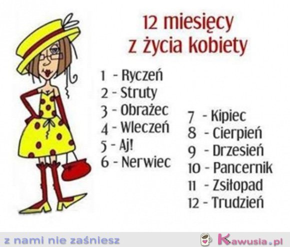 12 miesięcy z życia kobiety