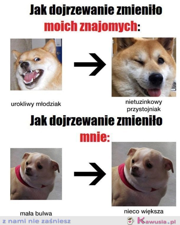 JAK DOJRZEWANIE ZMIENIA