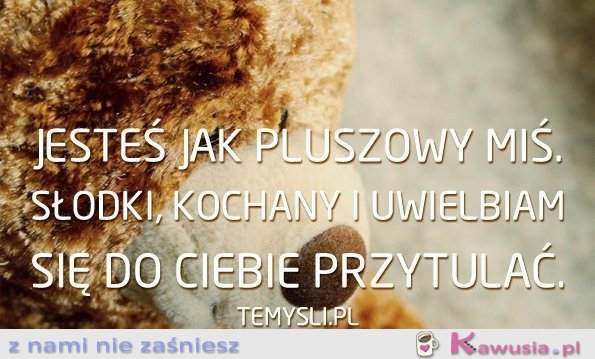 Jesteś jak pluszowy miś