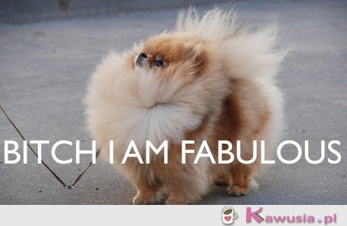 I'm fabulous