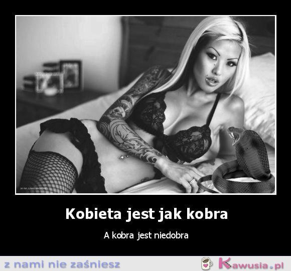 Kobieta jest kobra 