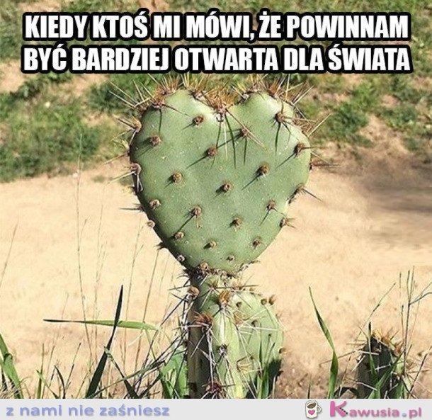 JESTEM JAK KAKTUS
