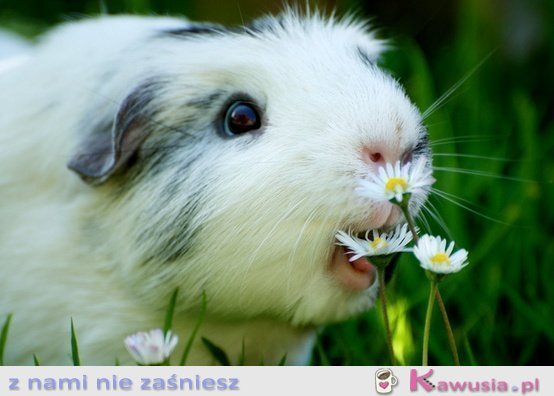 Czas na przekąskę :)